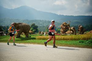 BIB: 
                            <button type="button" onclick="openModal(22435224)" class="btn btn-primary btn-sm float-right btn-popup" data-toggle="modal" data-target=".modal-high-quality">
                        <i class="fas fa-shopping-cart"></i> Add to Cart
                    </button>
                                            <button type="button" onclick="isThisMe(22435224, true)" class="btn btn-success btn-sm float-right btn-popup btn-isme hidden" data-toggle="tooltip" data-placement="bottom" title="นี่คือรูปของคุณใช่ไหม คลิกที่นี่เพื่อเอาเข้าอัลบั้ม">
                        <i class="fas fa-plus"></i> Add to album
                    </button>
                    <button type="button" onclick="isThisMe(22435224, false)" class="btn btn-warning btn-sm float-right btn-popup btn-isnotme hidden">
                        <i class="fas fa-ban"></i> Remove from album
                    </button>